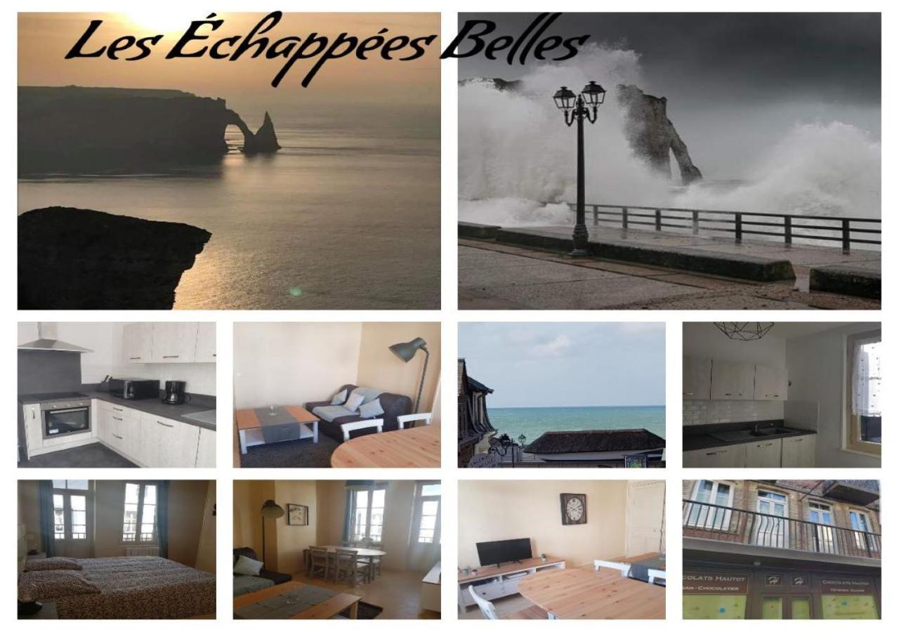 エトルタLes Echapees Bellesアパートメント 部屋 写真